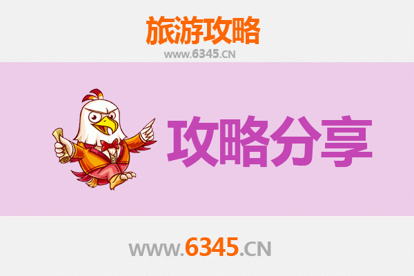 朔州朔城旅游攻略：跟团与自由行深度解析