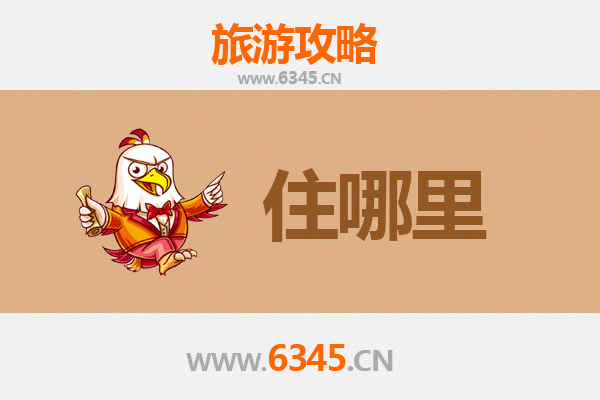 朔州朔城深度游：精品民宿全攻略与沉浸式旅行指南